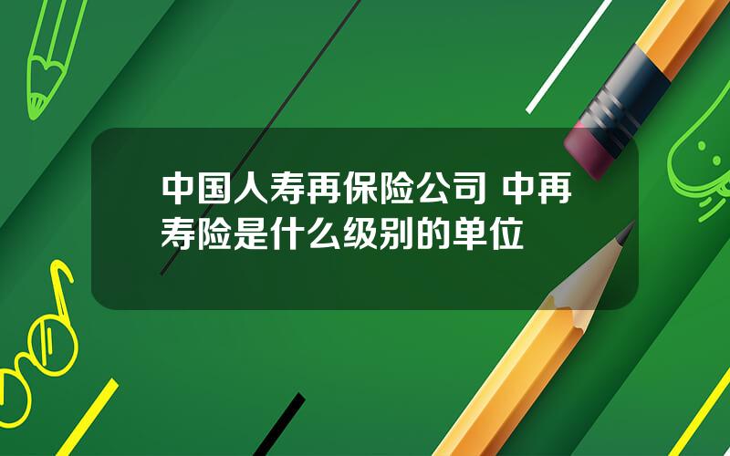 中国人寿再保险公司 中再寿险是什么级别的单位